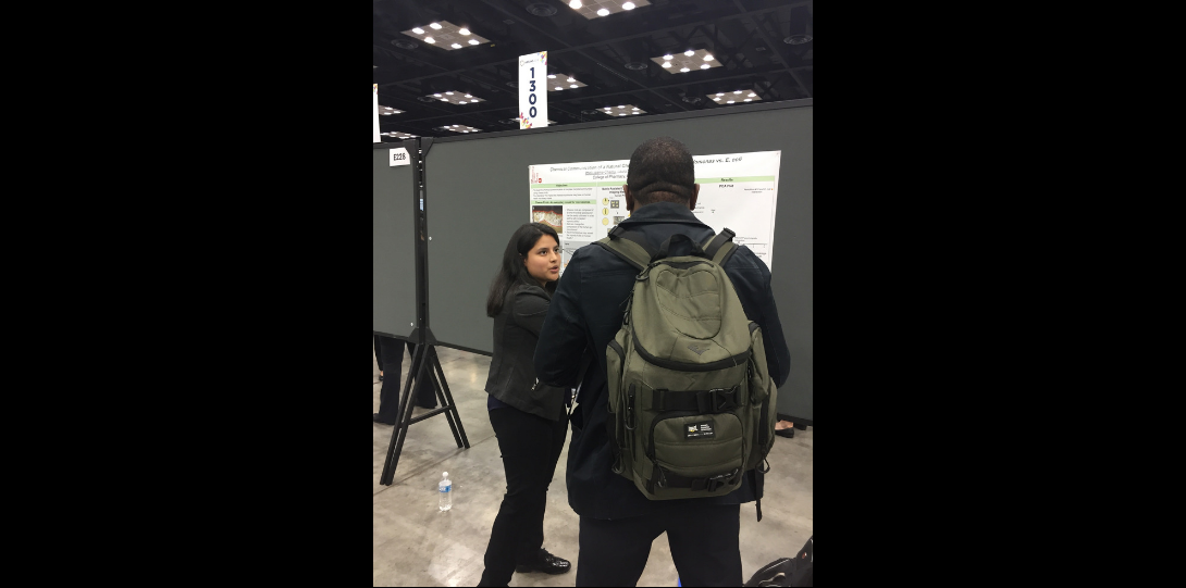 Hispanic female, Itzel, standing at a slanted angle away from the frame, wearing all black. Itzel is standing in front of a white poster and is gazing at a spectator while she is showcasing her research.  