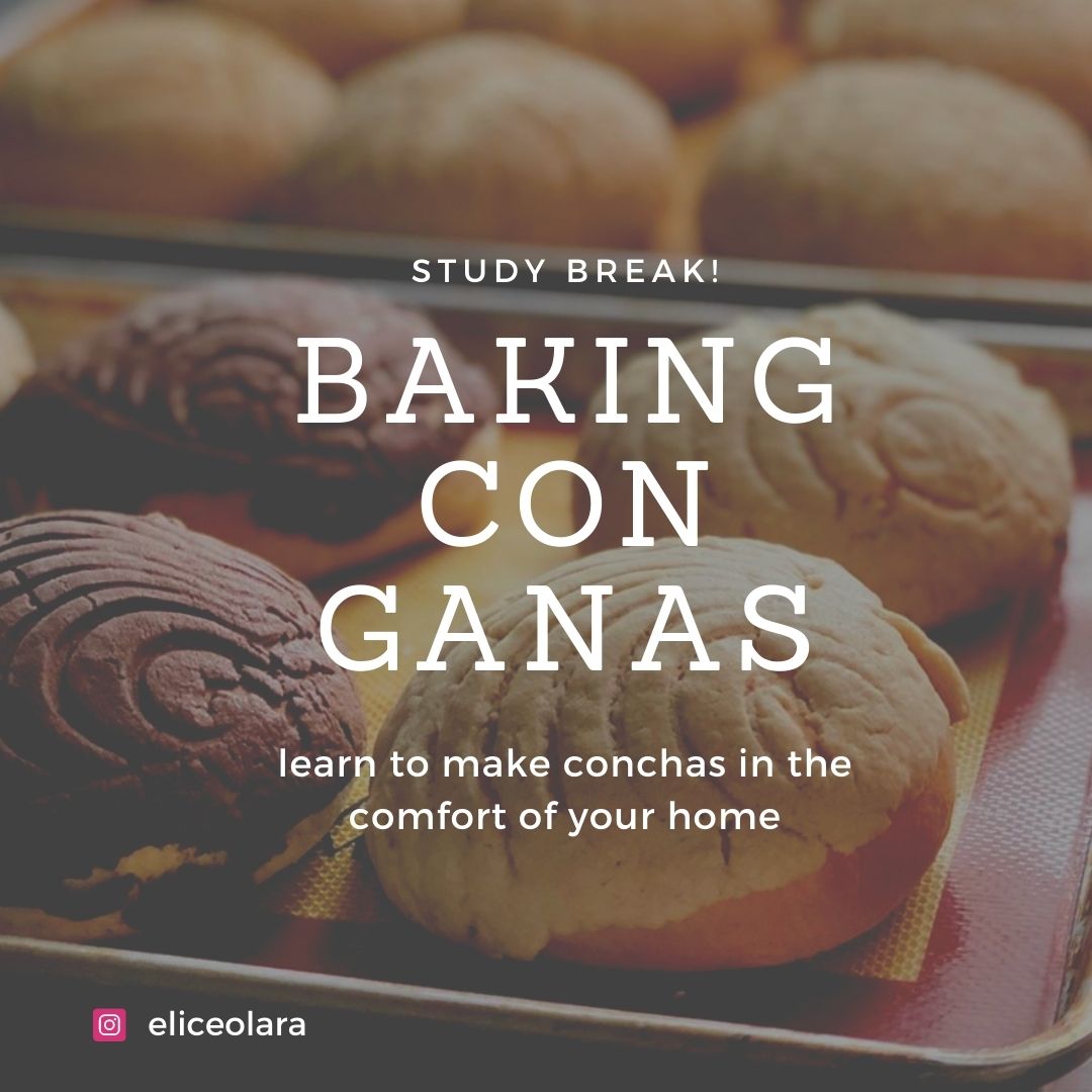 Photo of conchas on baking sheet with text over reading: Study Break. Conchas con GANAS. Learn to make conchas in the comfort of your home